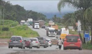 Invasão de Escorpiões e Aranhas Preocupa Moradores do Bairro Morada Nova